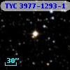 TYC 3977-1293-1
