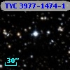 TYC 3977-1474-1