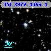 TYC 3977-1485-1