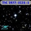 TYC 3977-1531-1