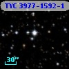TYC 3977-1592-1