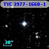 TYC 3977-1660-1
