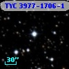 TYC 3977-1706-1