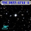 TYC 3977-1711-1