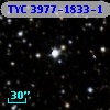 TYC 3977-1833-1