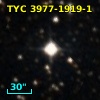 TYC 3977-1919-1