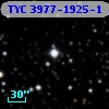 TYC 3977-1925-1