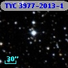 TYC 3977-2013-1