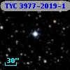 TYC 3977-2019-1
