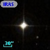 IRAS F23205-3350