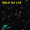 OGLE Scl 116