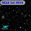 OGLE Scl 3834