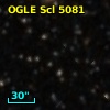 OGLE Scl 5081