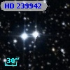 HD 239942