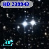 HD 239943