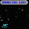 [EM96] COS-1193