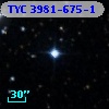 TYC 3981-675-1