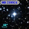 HD 239921
