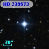 HD 239873