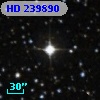 HD 239890