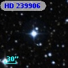 HD 239906