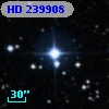 HD 239908