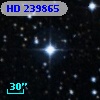 HD 239865