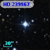 HD 239867