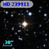 HD 239911