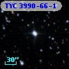 TYC 3990-66-1