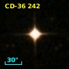 CD-36   242