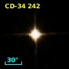 CD-34   242