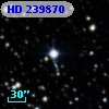 HD 239870