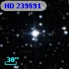 HD 239891