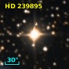 HD 239895