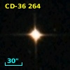 CD-36   264