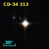 CD-34   313