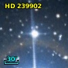 HD 239902