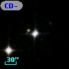 CD-34   290