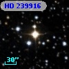 HD 239916
