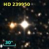 HD 239950