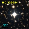 HD 239954