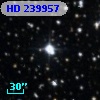 HD 239957