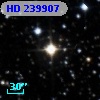 HD 239907
