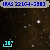 IRAS 22164+5903