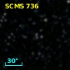 SCMS  736
