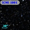 SCMS 1001