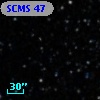 SCMS   47