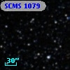 SCMS 1079