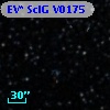 EV* SclG V0175